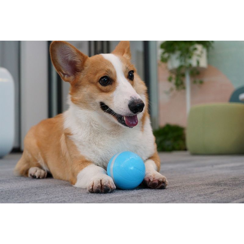 CHEERBLE - Pelota Interactiva para Perros Wicked Azul Cheerble