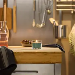 IKEA - LOTSFÅGEL vela vaso 20 hr Hoja de higuera verde