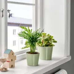 IKEA - BROKSPIREA macetero 12 menta
