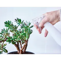 IKEA - TOMAT pulverizador 35 cl blanco
