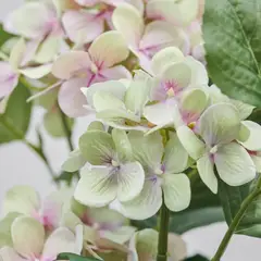 IKEA - FEJKA planta artif 12 intext/Hortensia bco