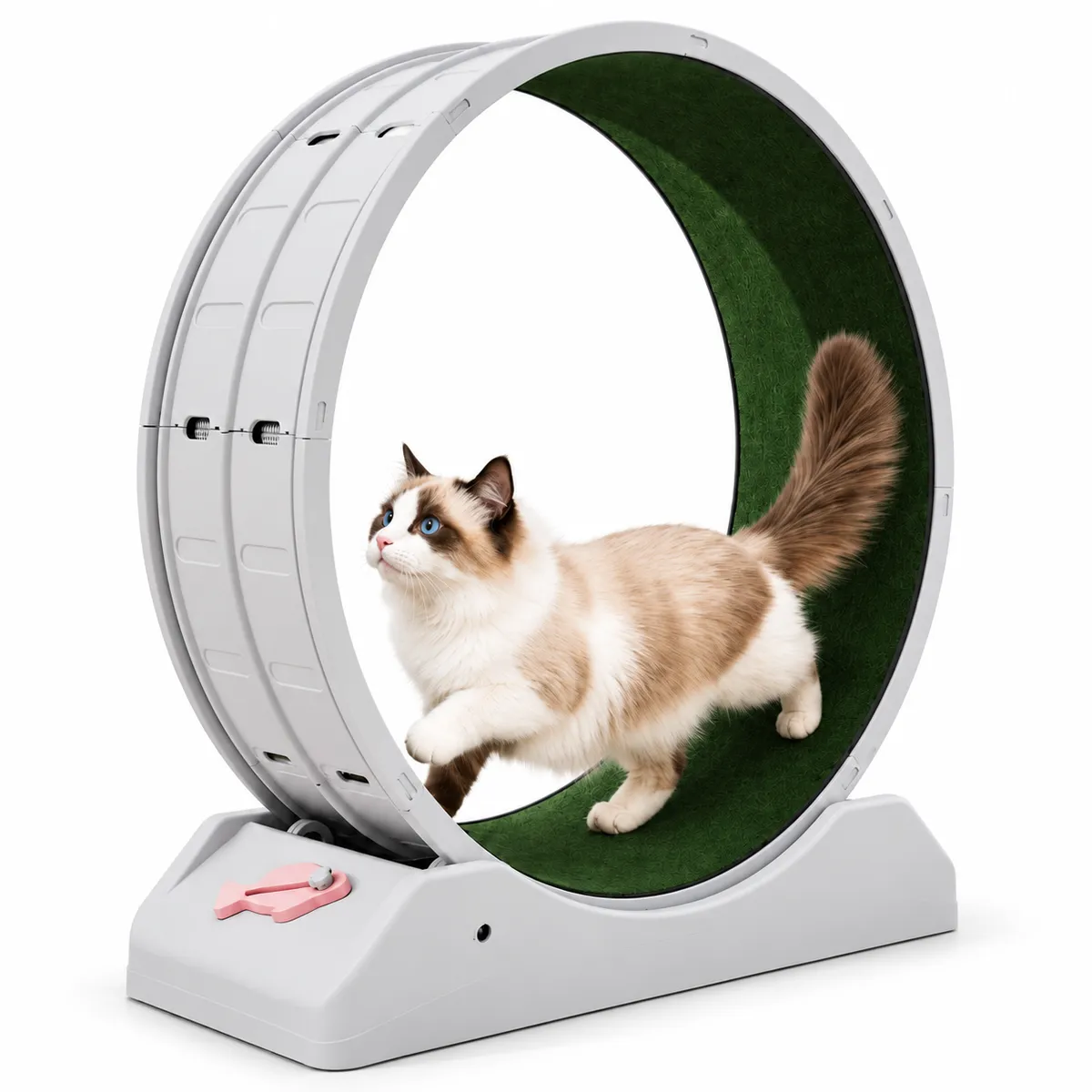 KERU - Rueda De Ejercicio Para Gatos KERU Caminadora Para Interior