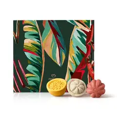 NATURA - Jabones en Barra Frutales Ekos 12x25 gr