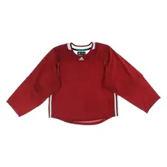 ADIDAS - Polera adiTeam Three Stripe Hockey Goalie 2.0