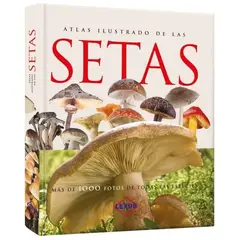 SUSAETA - Atlas Ilustrado de las Setas