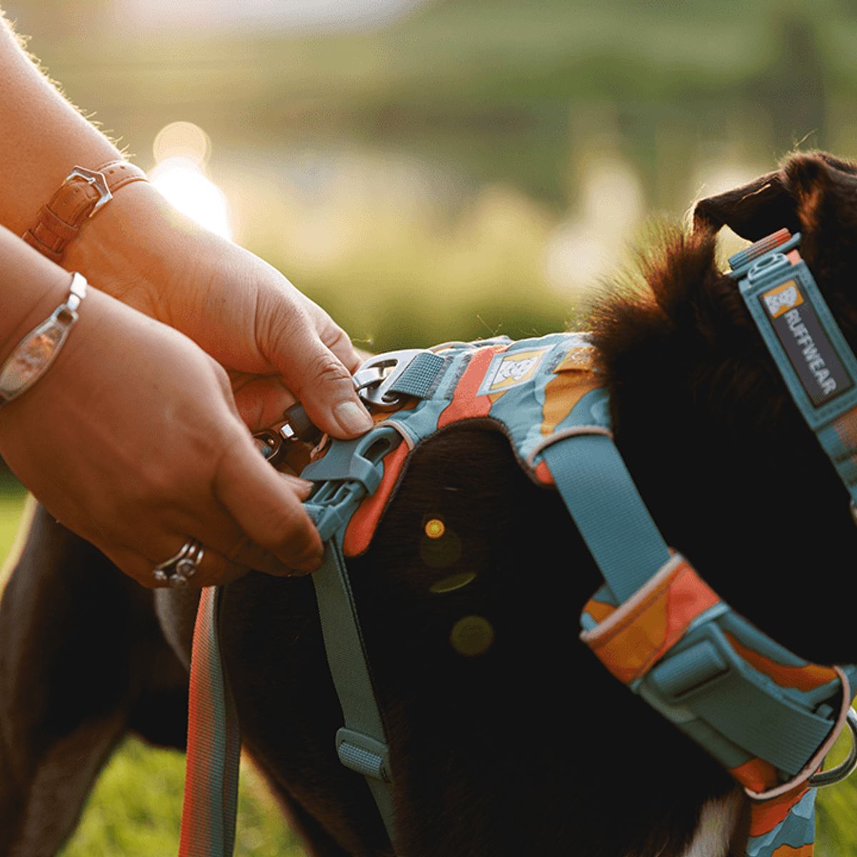 RUFFWEAR - RUFFWEAR FRONT RANGE - HARNESS - S - SPRING MOUNTAINS