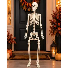 MYLHOGAR - Esqueleto Humano Decorativo 165 cm de Tamaño Real para Halloween