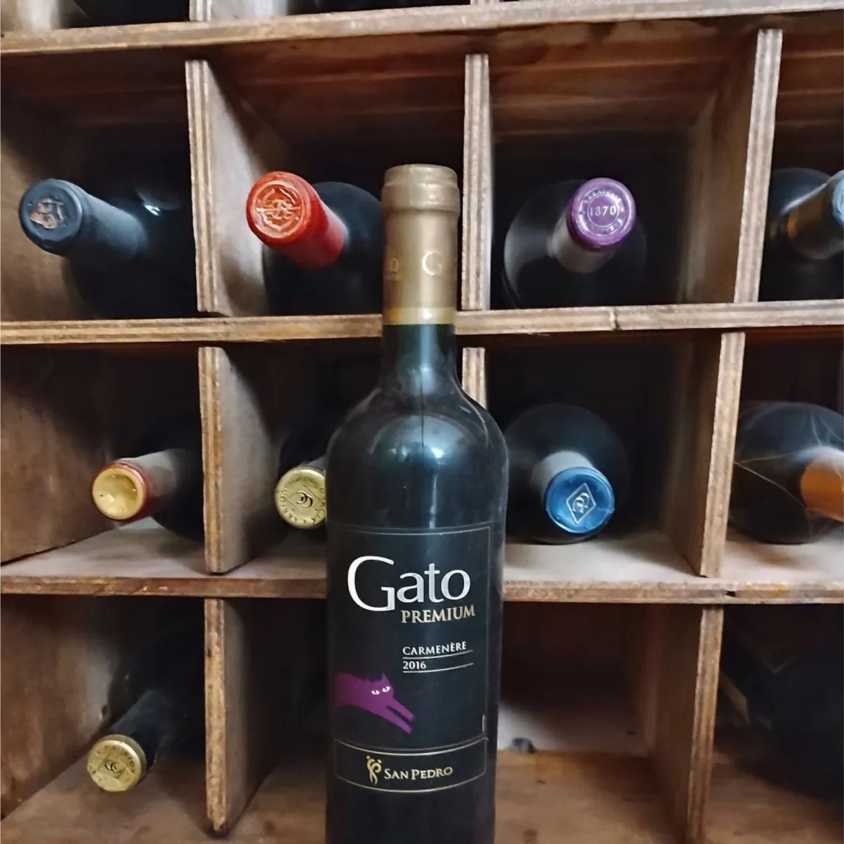 GATO - Año 2016 Vino Viña San Pedro. Gato Premium Carmenere
