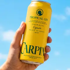 CASA SILVA - Mix Coctel Gin & Carpintero 473 Ml