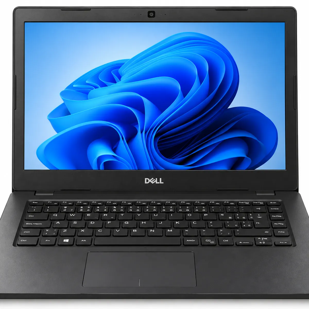 DELL - Notebook Dell Latitude 3480 14" Intel Core i5 8GB RAM 240GB SSD Reacondicionado