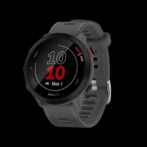 Smartwatch Forerunner 55 GPS 42 mm Gris