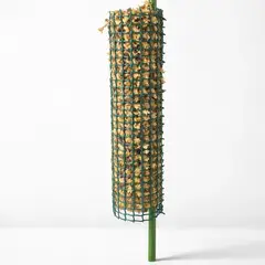 GENERICO - Tutor de musgo sphagnum 50cm con estaca