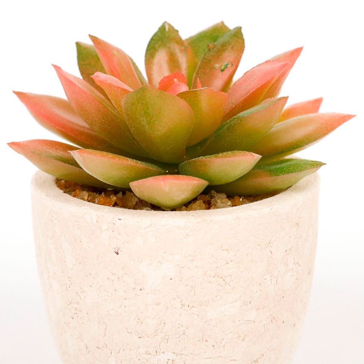 HOMEWELL - Cactus Artificial 9Cm