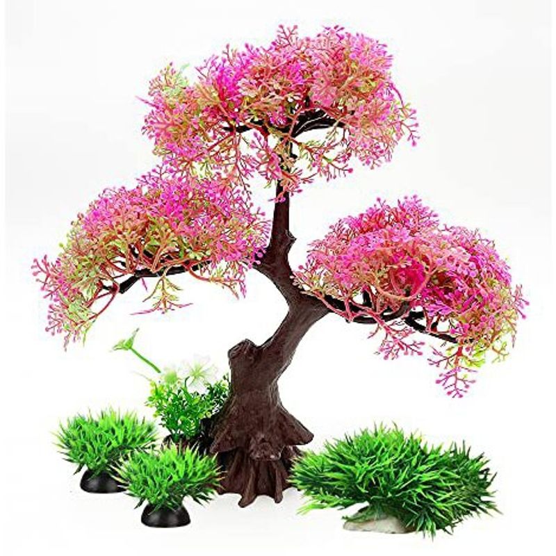  - Plantas De Acuario Rosa