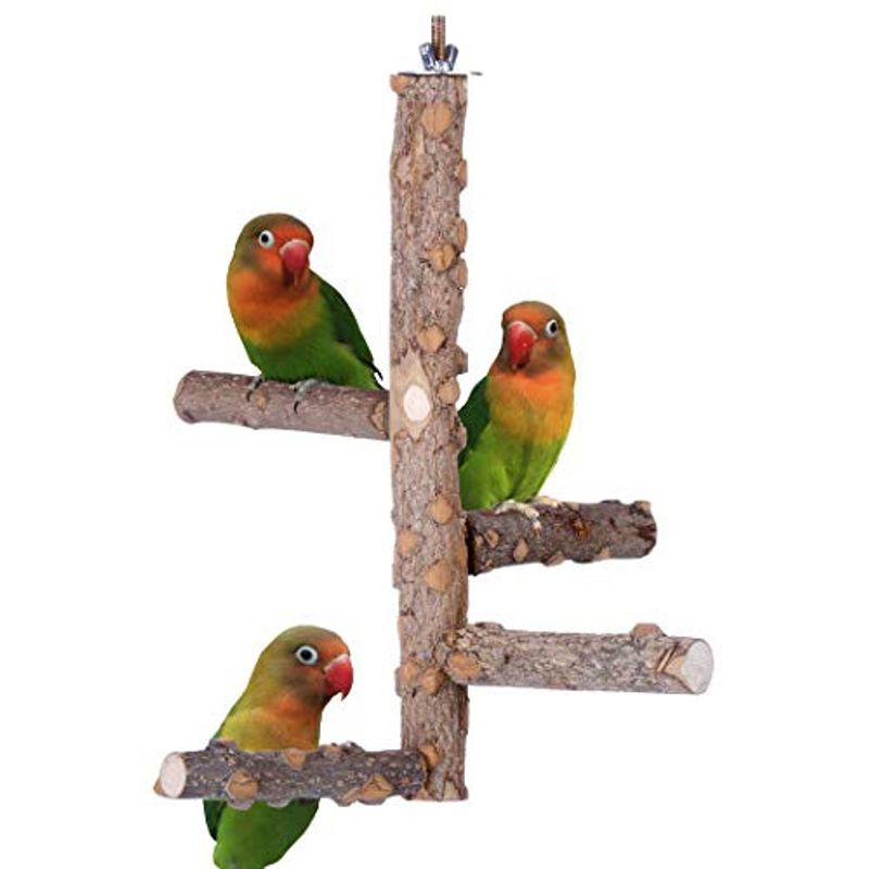  - Tronco Para Aves Hasta 4 Pajaros