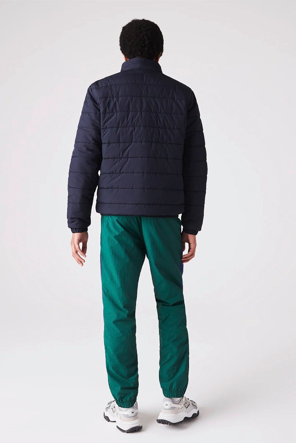 LACOSTE - Lacoste Chaqueta Hombre