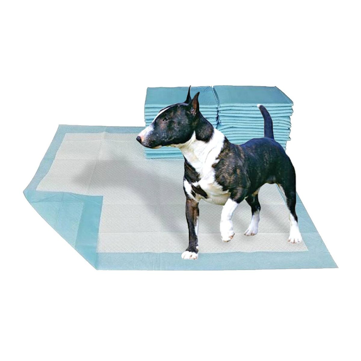 GLOBAL - 40 Pañales Sabanillas Talla L para Perros (60Cm X