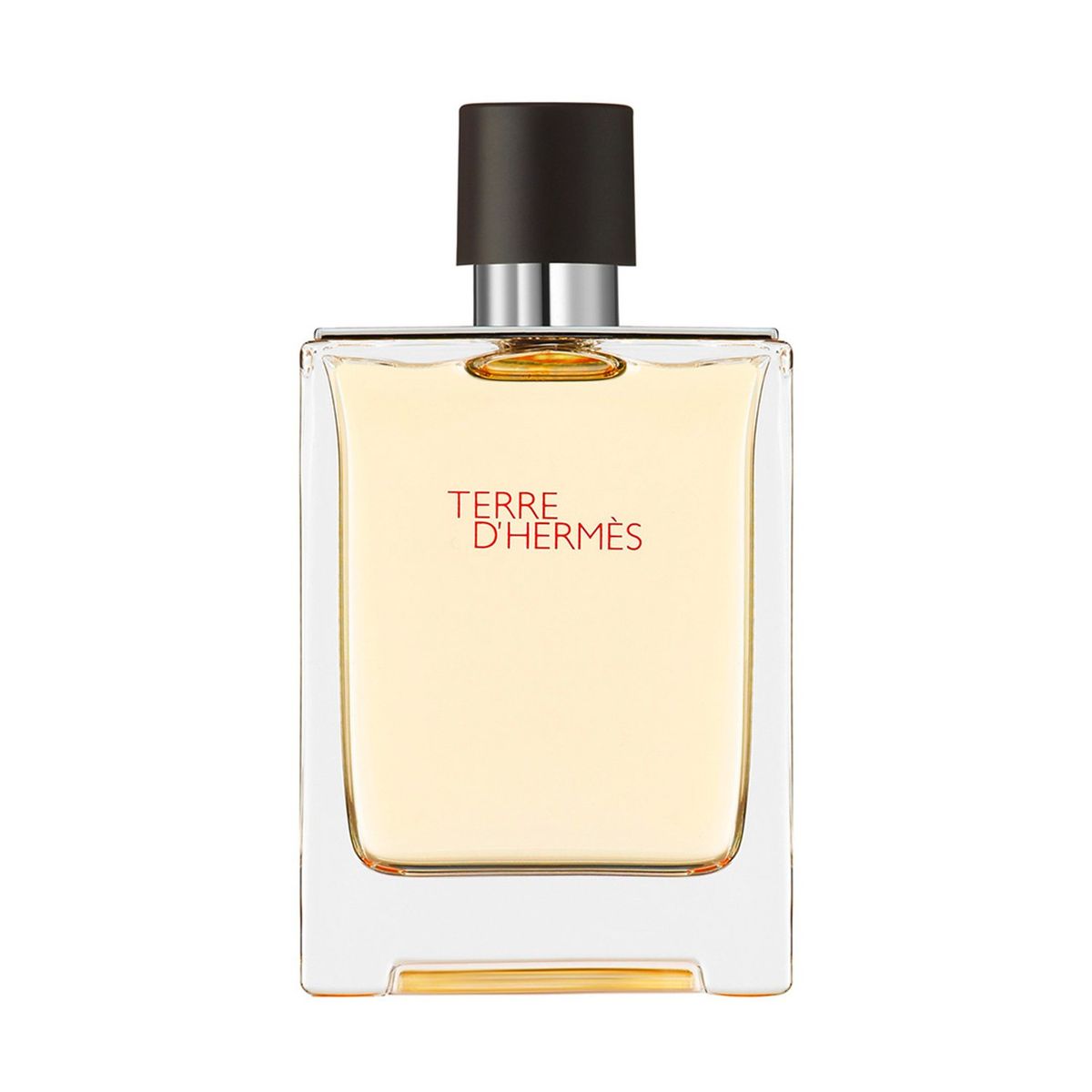 HERMES - Perfume Hombre Terre d'Hermès Eau de Toilette 100 ml Hermès