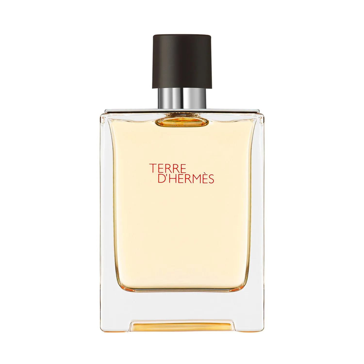 HERMES Perfume Hombre Terre d'Hermès Eau de Toilette 100 ml Hermès