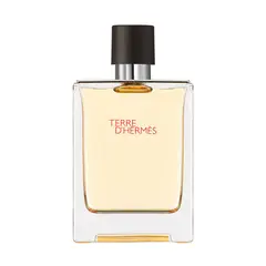HERMES - Perfume Hombre Terre d'Hermès Eau de Toilette 100 ml Hermès