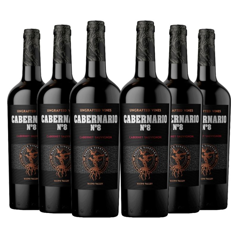 SANTA RITA - 6 Vinos Cabernario N8 Cabernet Sauvignon