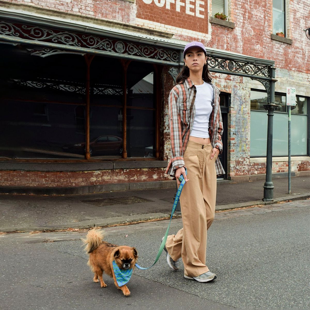 TYPO - Bandana Para Perros Typo