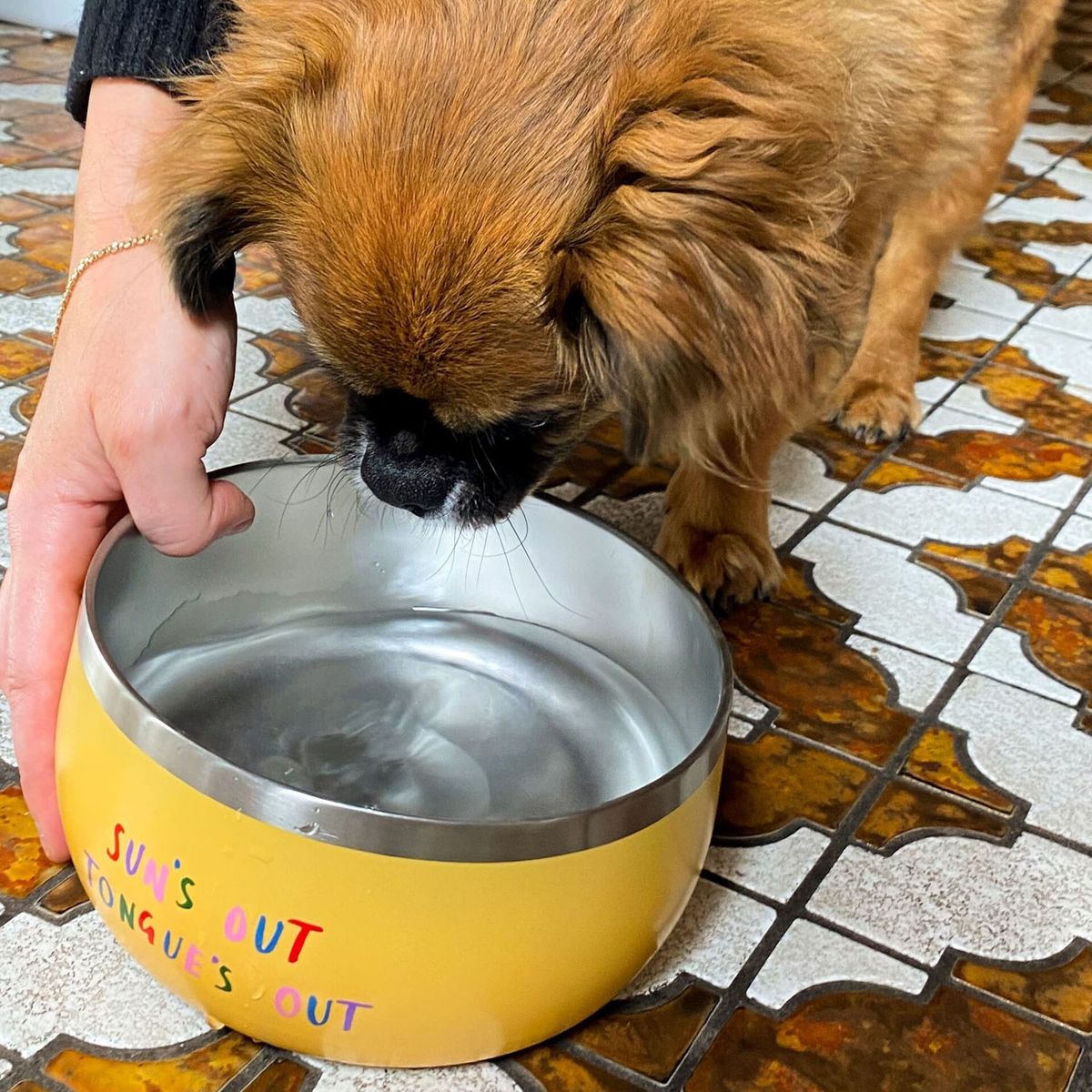 TYPO - Bowl De Comida Pequeño Para Perros Typo
