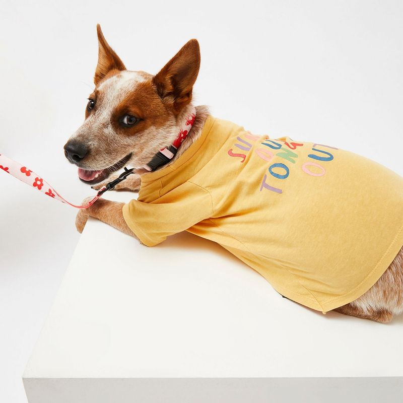 TYPO - Polera Para Perros Typo