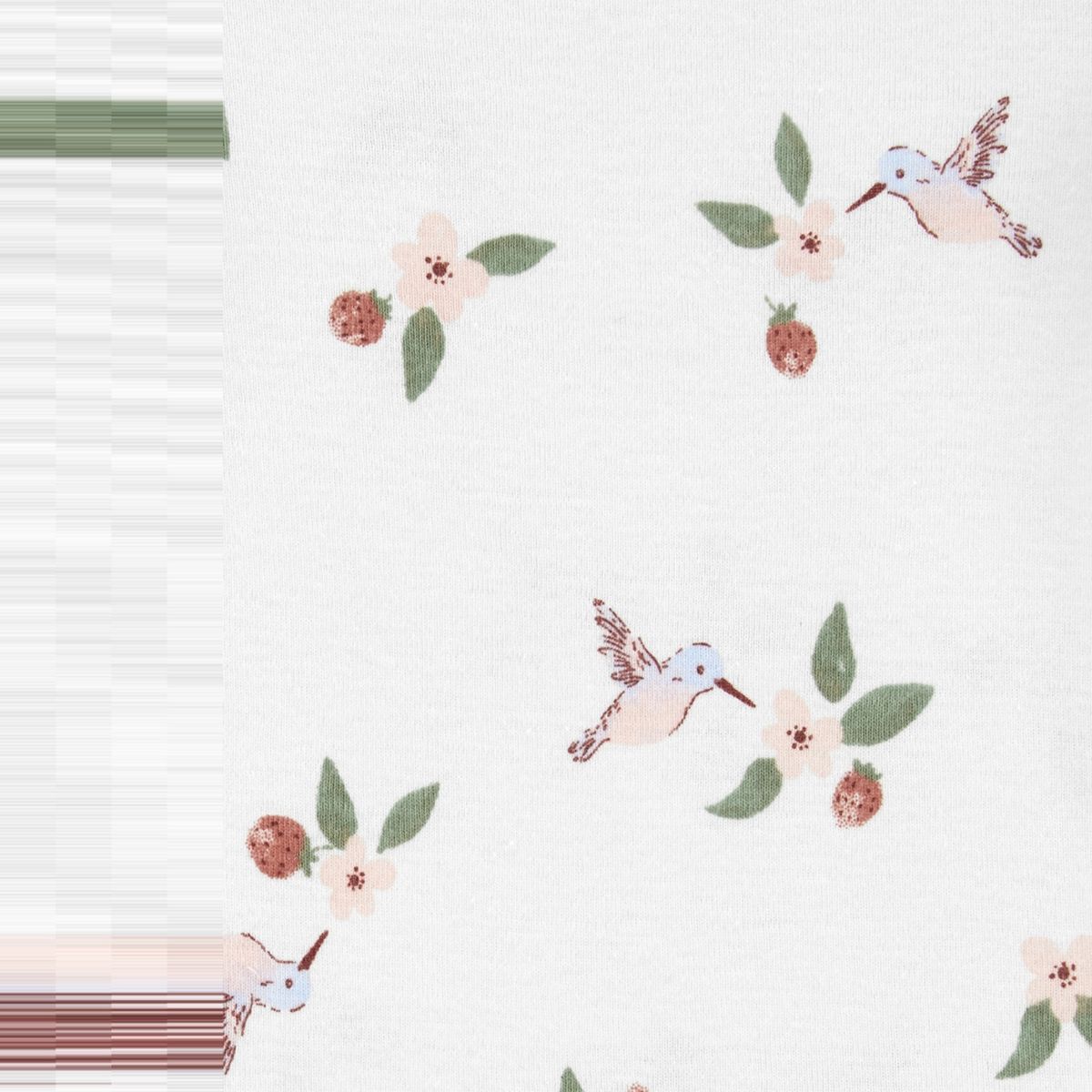 CARTER'S - Bodies Algodón Manga Corta Pack 5 Unidades Bebé Niña Carter's