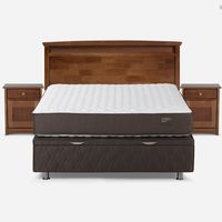 Cama Funcional Ergo T 2 Plazas Veneto