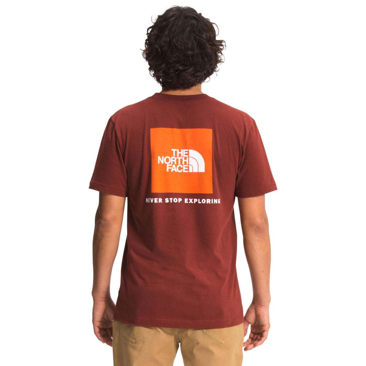 THE NORTH FACE - Polera Manga Corta Hombre The North Face