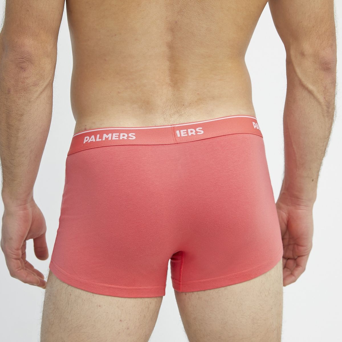 PALMERS - Pack 3 Boxers Algodón Hombre Palmers