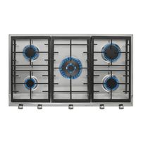 Encimera 5Q Ex-90.1 5G Ai Al