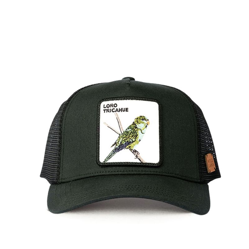 WILD LAMA - Jockey Animal Unisex Wild Lama