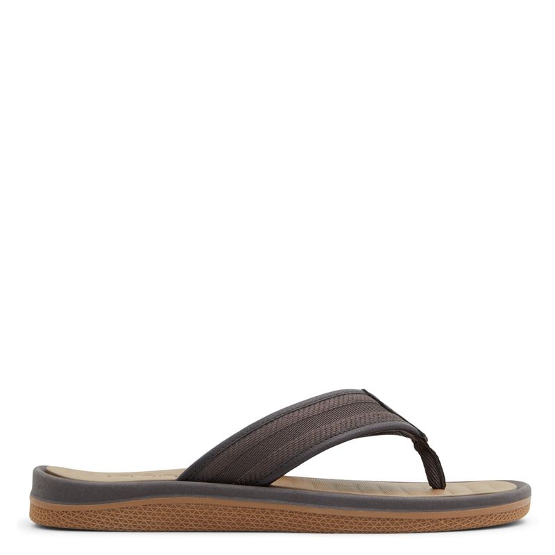 ALDO - Ocerrach Sandalia Hombre Café Aldo