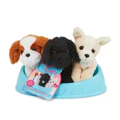 PUCCI PUPS - Adopta 3 Perros - Shih Tzu Poodle