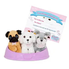 PUCCI PUPS - Adopta 3 Perros - Pug Maltés Y Sch