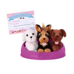 PUCCI PUPS - Adopta 3 Perros - Bichon Frise Yor