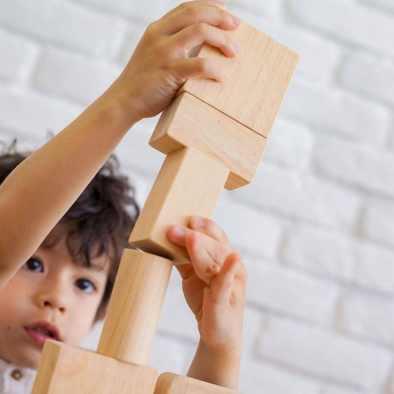 PLANTOYS - Juego De Bloques De Encaje 50 Piezas De Madera Sustentable Plantoys