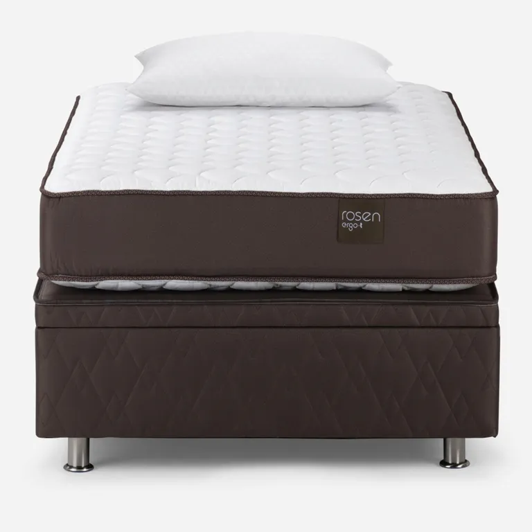 Cama Baúl New Ergo T 1.5 Plazas X 2.00 Mt + 2 Almohadas