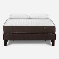 Cama Europea Ergo T 2 Plazas Base Normal + Almohadas