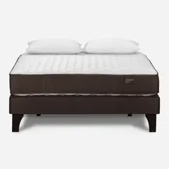 ROSEN - Cama Europea Ergo T 2 Plazas Base Normal + Almohadas