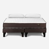 Cama Europea 2 Plazas Ergo T Base Dividida + Almohadas