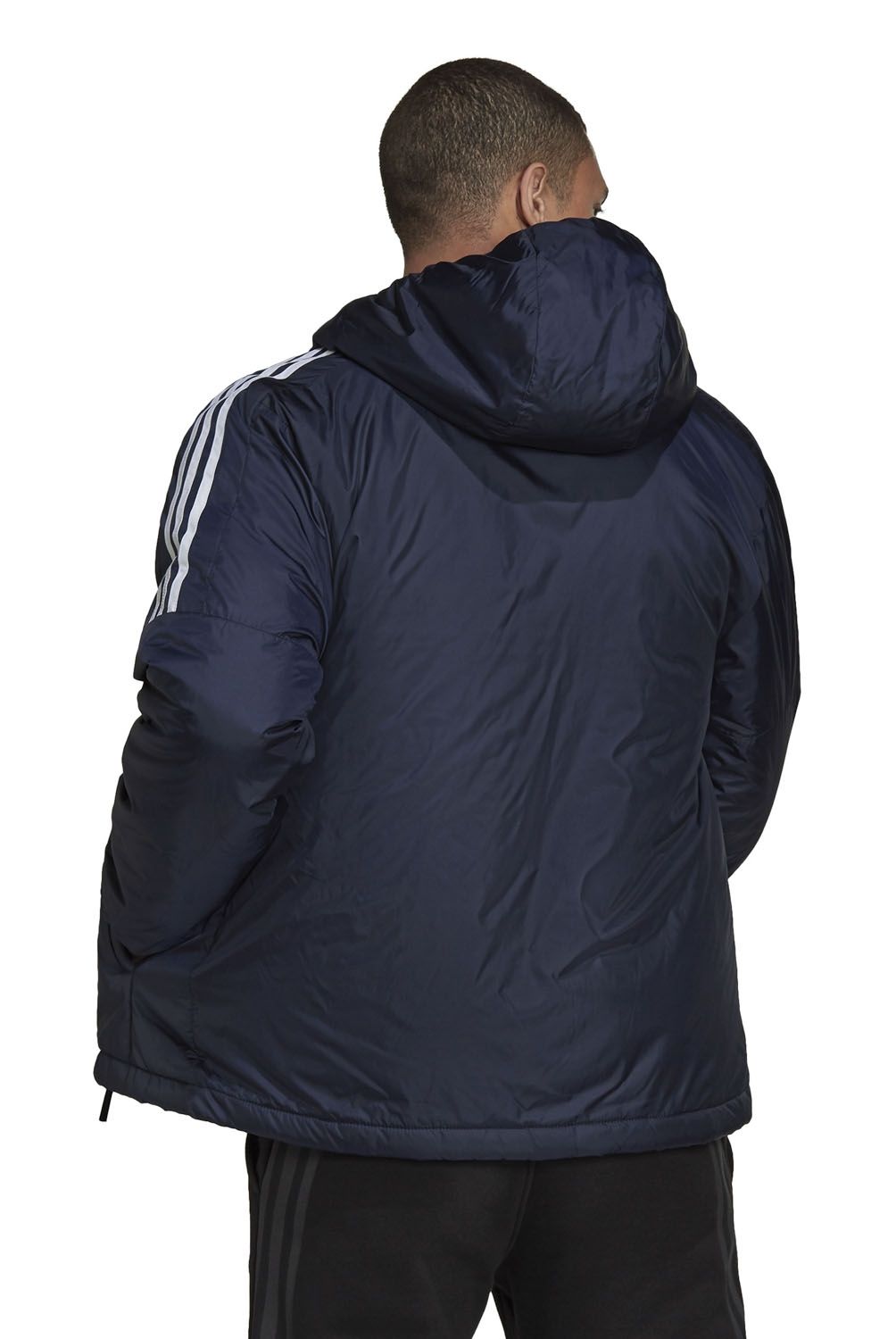 ADIDAS - Chaqueta Insulada Regular Hombre Adidas