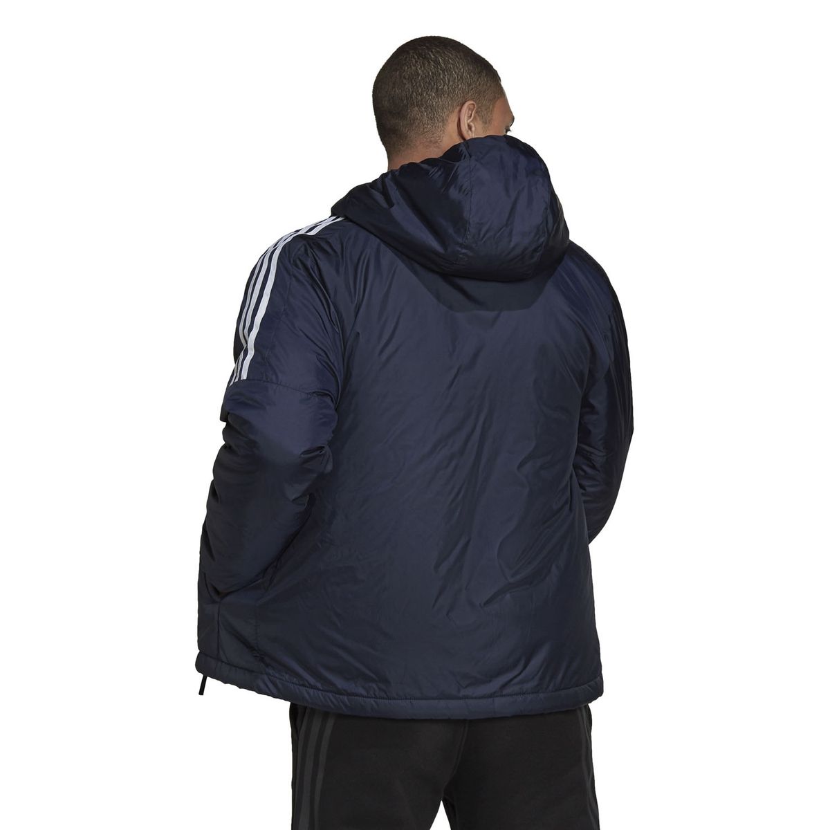 ADIDAS - Chaqueta Insulada Regular Hombre Adidas