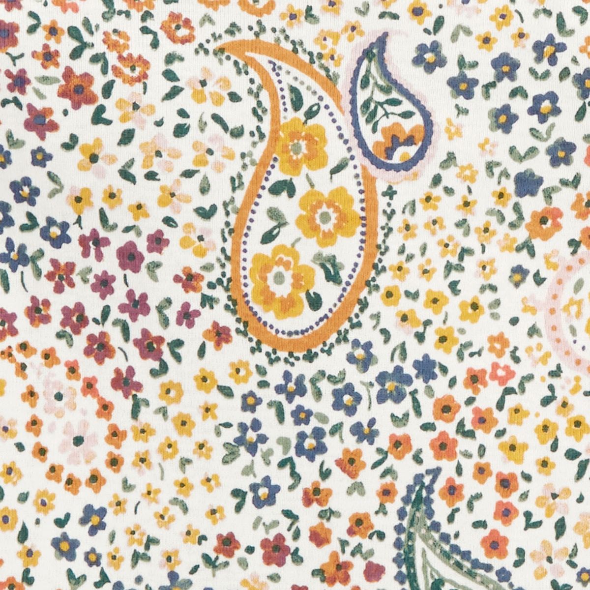 CARTER'S - Bodies Básicos Algodón Manga Corta Pack 5 Unidades Bebé Niña Carter's