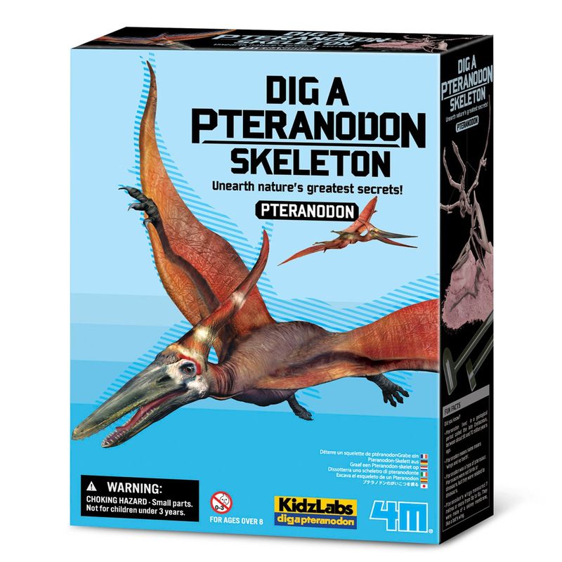 4M - Dinosaurio Pteranodon Excava 4M
