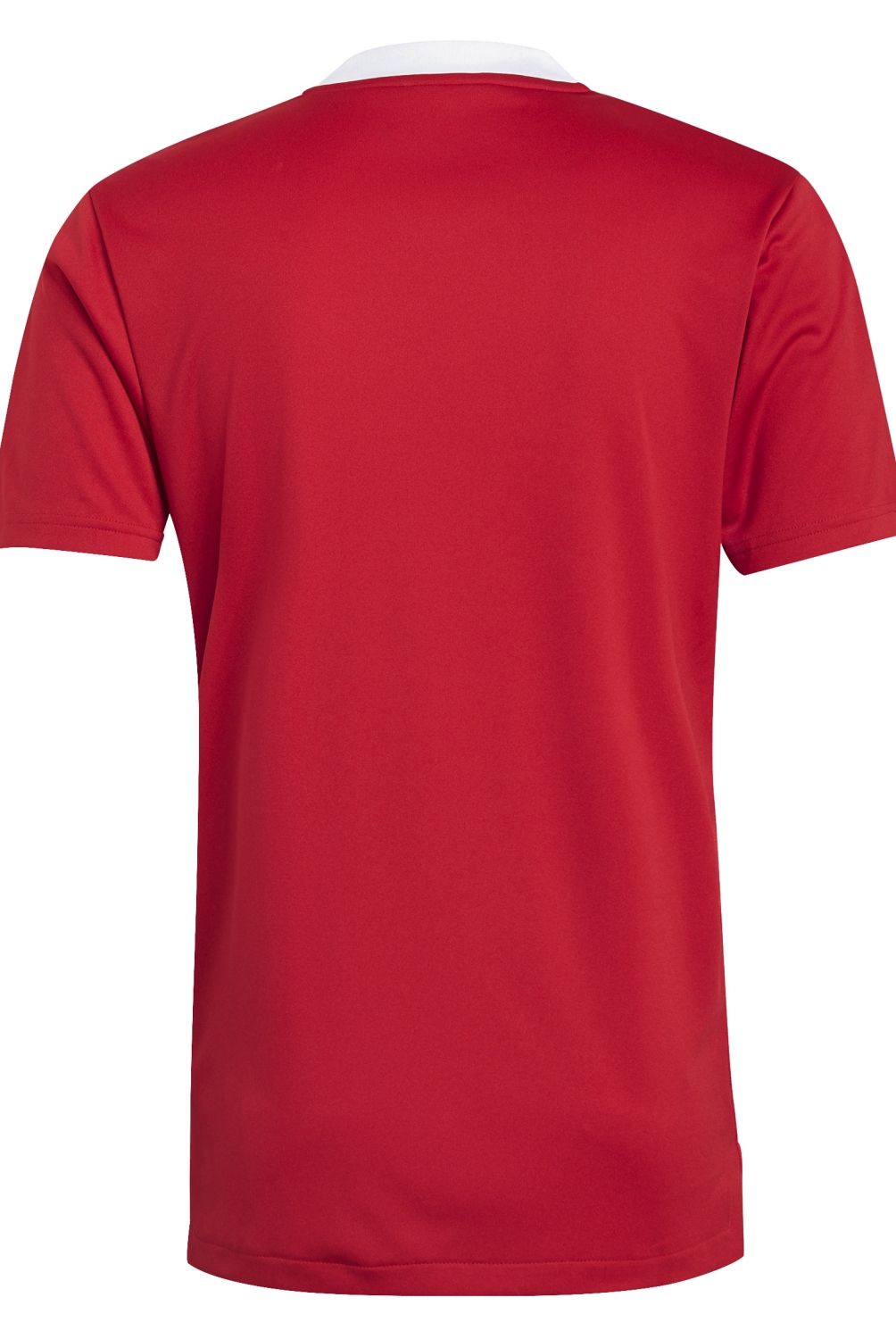 ADIDAS - Polera Hombre Manga Corta Algodón Adidas