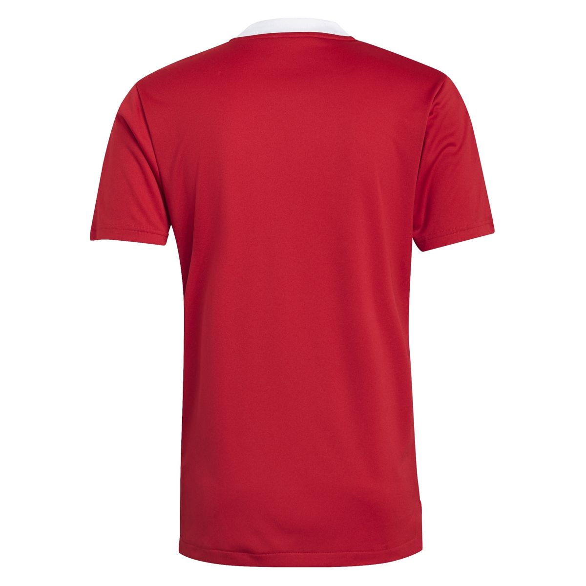 ADIDAS - Polera Hombre Manga Corta Algodón Adidas