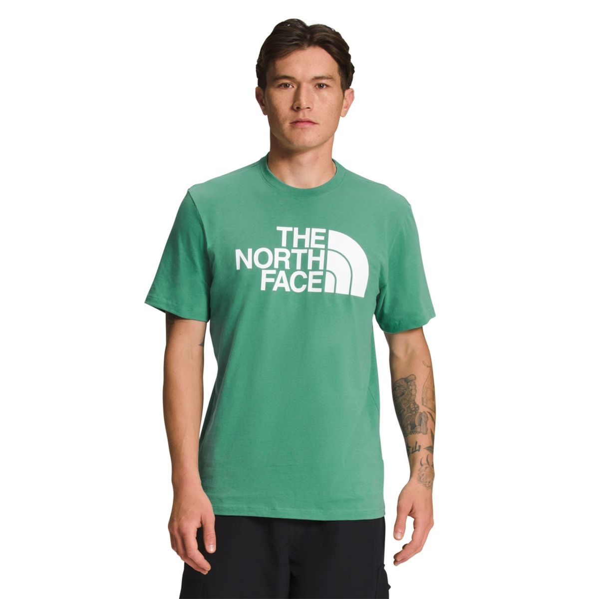 THE NORTH FACE - Polera Manga Corta Hombre The North Face